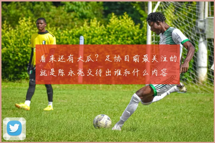 看来还有大瓜？足协目前最关注的就是陈永亮交待出谁和什么内容