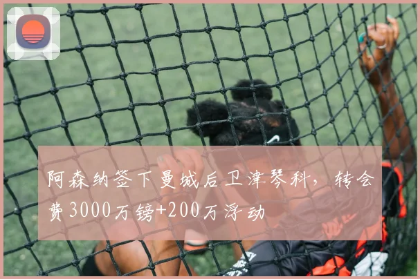 阿森纳签下曼城后卫津琴科，转会费3000万镑+200万浮动