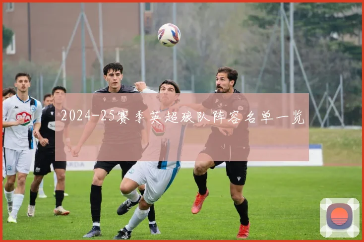 2024-25赛季英超狼队阵容名单一览